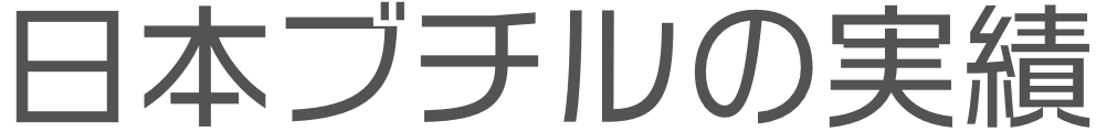 日本ブチルの実績