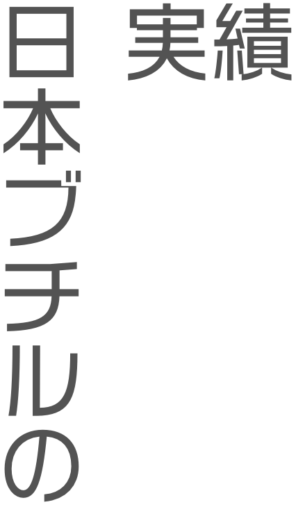 日本ブチルの実績